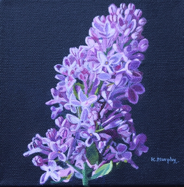 Lilac Flower, Series #2